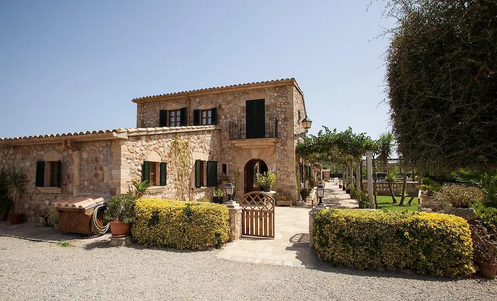 Toni Mosca Villa Pollenca